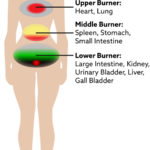 Fig. 13 The Three Burners