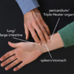 Fig. 14a Pulse Positions, right hand