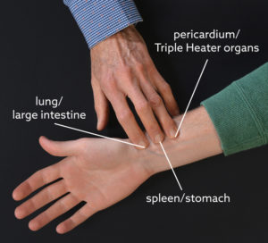 Fig. 14a Pulse Positions, right hand