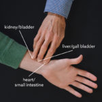 Fig. 14b Pulse Positions, left hand