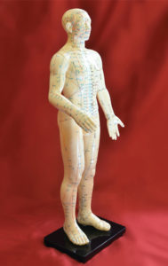 Fig. 3 Mannequin showing channels head to toe