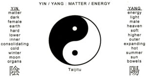 Fig. 9 Yin/Yang Symbol and Associations